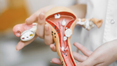 amh antimullerian hormon nedir