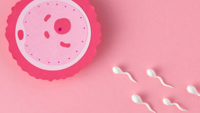 asilama nasil yapilir