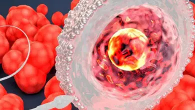 dollenme nedir nasil olur