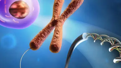 preimplantasyon genetik tani pgd nedir kimlere yapilir