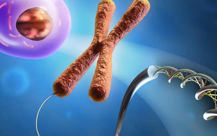 preimplantasyon genetik tani pgd nedir kimlere yapilir