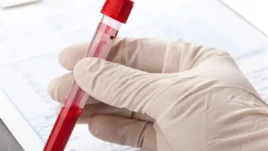 Estradiol Nedir?